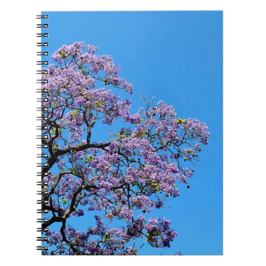 Jacaranda Notitieboek (Voorkant)