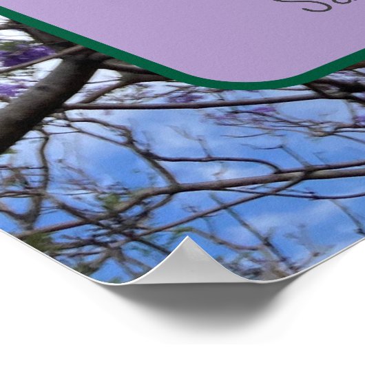 Jacaranda Paarse Poster (Hoek)