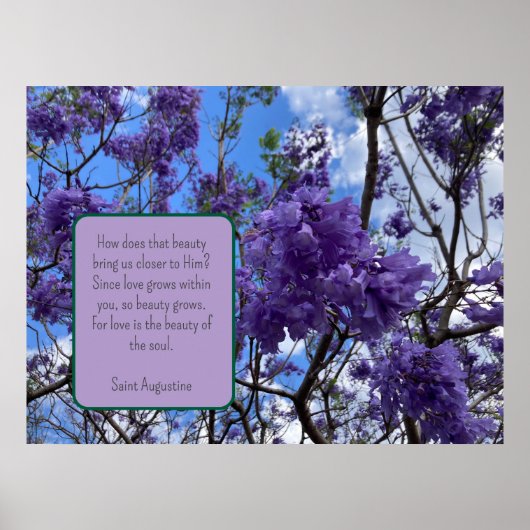 Jacaranda Paarse Poster (Voorkant)