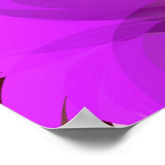 Jacaranda Poster (Hoek)