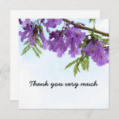 Jacaranda Purple bloemen bloeien op de boom (Voorkant / Achterkant)