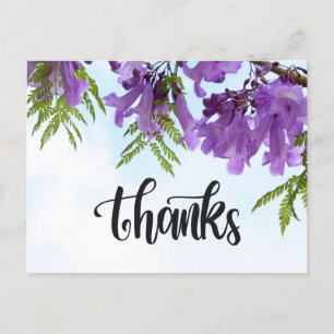 Jacaranda Purple bloemen bloeien op de boom Briefkaart