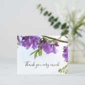 Jacaranda Purple Flowers Australië op de boom    Briefkaart (Staand voorkant)