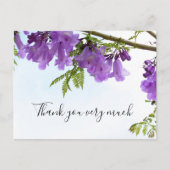 Jacaranda Purple Flowers Australië op de boom    Briefkaart (Voorkant)