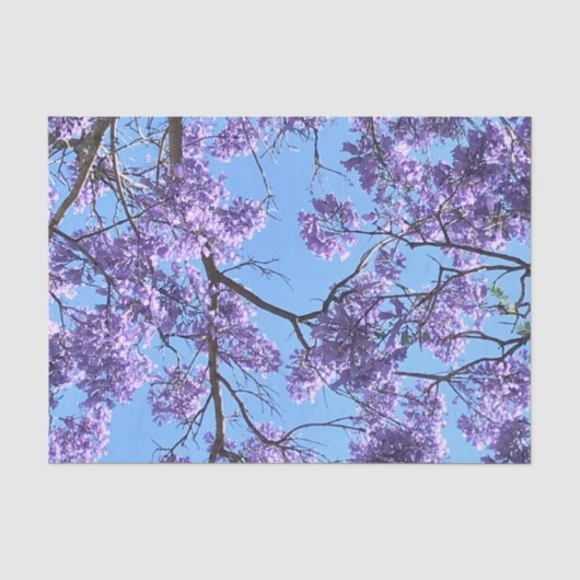 Jacaranda Tissuepapier (Voorkant)