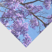 Jacaranda Tissuepapier (Detail)