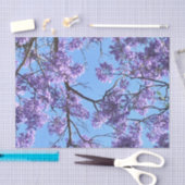 Jacaranda Tissuepapier (Craft)