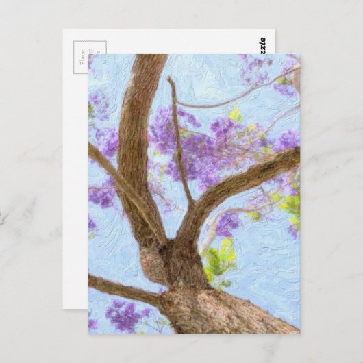 Jacaranda Tree Briefkaart (Voorkant / Achterkant)