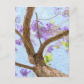 Jacaranda Tree Briefkaart (Voorkant)