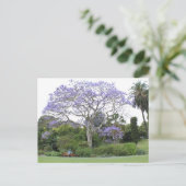 Jacaranda Tree Briefkaart (Staand voorkant)
