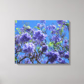 Jacaranda Tree Canvas Afdruk (Voorkant)