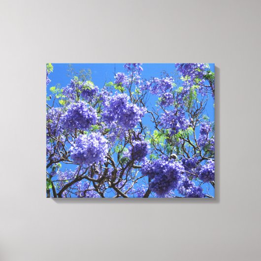 Jacaranda Tree Canvas Afdruk (Voorkant)
