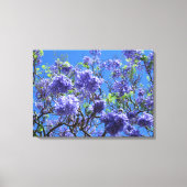 Jacaranda Tree Canvas Afdruk (Voorkant)