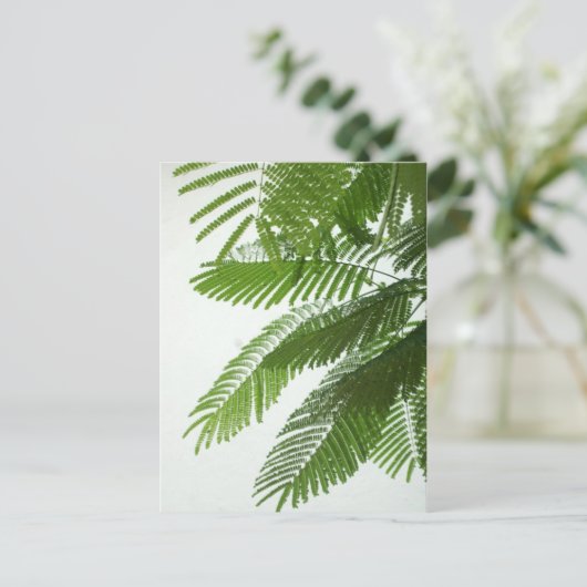 Jacaranda Tree Leaves Briefkaart (Staand voorkant)