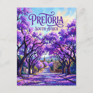 Jacarandabomen van Pretoria Zuid-Afrika Briefkaart