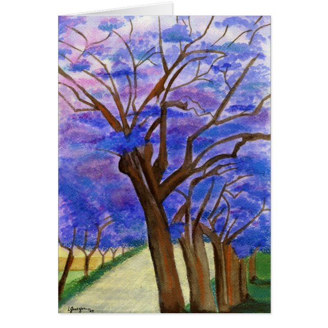 Jacarandas (Voorkant)
