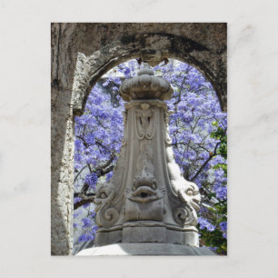 Jacarandi Briefkaart