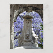 Jacarandi Briefkaart (Voorkant)