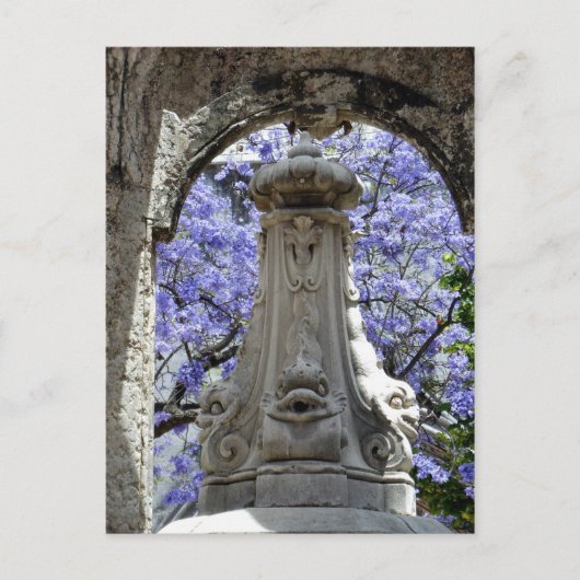 Jacarandi Briefkaart (Voorkant)