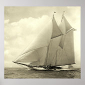 jacht "Amerika" 1910 Poster (Voorkant)