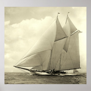 jacht "Amerika" 1910 Poster