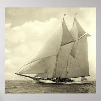 jacht "Amerika" 1910 Poster