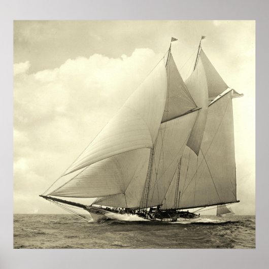 jacht "Amerika" 1910 Poster (Voorkant)