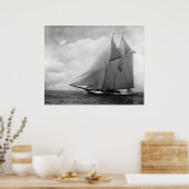 jacht Amerika c1910 Poster (Keuken)