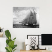 jacht Amerika c1910 Poster (Thuiskantoor)