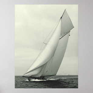 jacht "Columbia" 1901 Poster