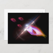 Jacht, diner, röntgenvis 1