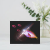 Jacht, diner, röntgenvis 1 briefkaart (Staand voorkant)