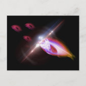 Jacht, diner, röntgenvis 1 briefkaart (Voorkant)