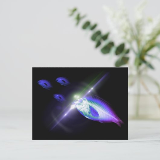 Jacht, diner, röntgenvis 3 briefkaart (Staand voorkant)