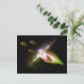 Jacht, diner, röntgenvis 4 briefkaart (Staand voorkant)