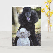 Jacht en Vriend Kaart (Gele Bloem)