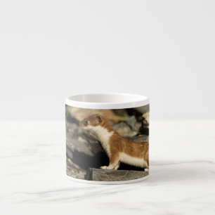 Jacht Espresso Kop