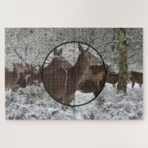 Jacht Koe Elk Verrekijker Uitzicht Winter Bronstij
