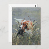 Jacht met Epagneul Breton Briefkaart (Voorkant / Achterkant)