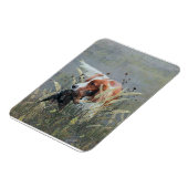 Jacht met Epagneul Breton Magneet (Linkerzijde)