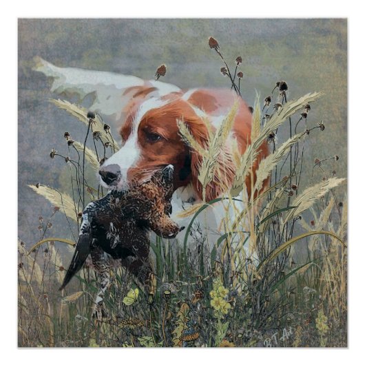 Jacht met Epagneul Breton Perfect Poster (Voorkant)