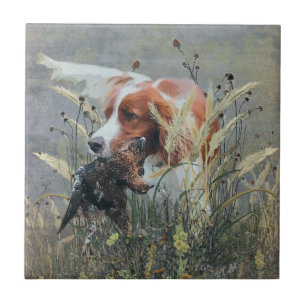 Jacht met Epagneul Breton Tegeltje