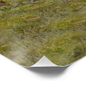 Jacht op Chukar patrijs Perfect Poster (Hoek)