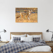 Jacht op coyote (Canis Latrans) Canvas Afdruk (Insitu (Slaapkamer))