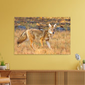 Jacht op coyote (Canis Latrans) Canvas Afdruk (Insitu (Woonkamer))