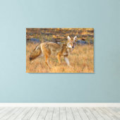 Jacht op coyote (Canis Latrans) Canvas Afdruk (Insitu (Houten vloer))