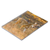 Jacht op coyote (Canis Latrans) Notitieboek (Linkerzijde)