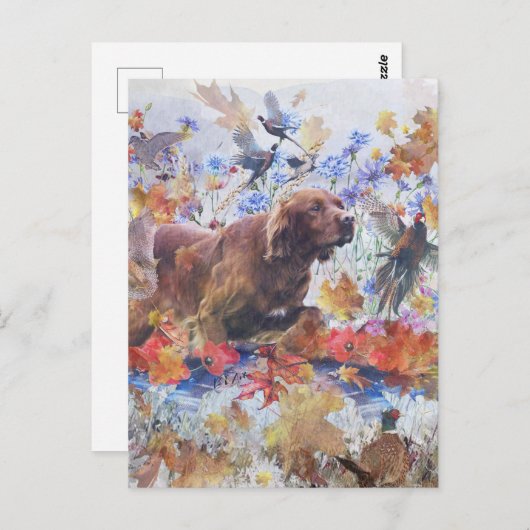 jacht op Irish Setter Briefkaart (Voorkant / Achterkant)