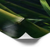 Jacht op tijger in Bamboo Grove Perfect Poster (Hoek)