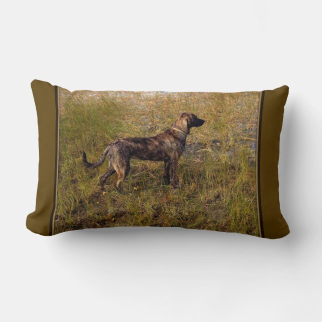Jacht Plott Hound Worp Kussen (Voorkant)
